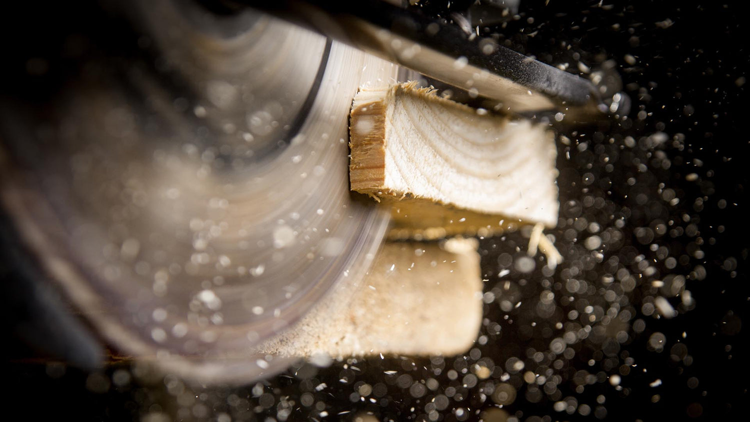 Sega circolare: 5 consigli per scegliere la tua