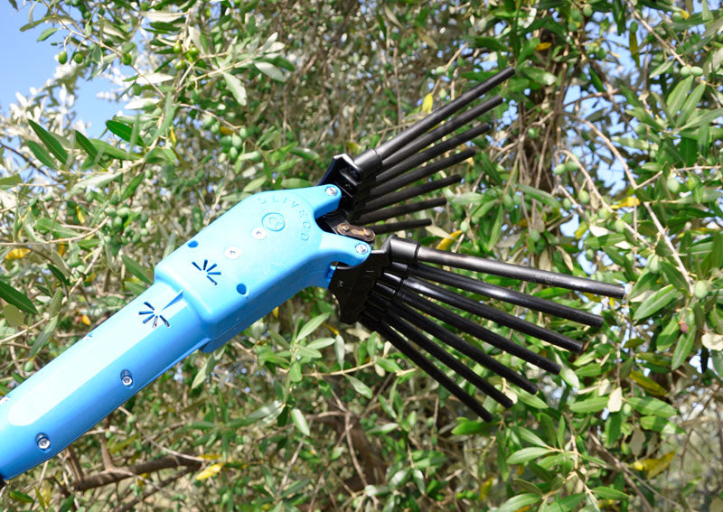 Lisam OLIVECO - Abbacchiatore elettrosquotitore per olive a batteria 12V - Asta telescopica