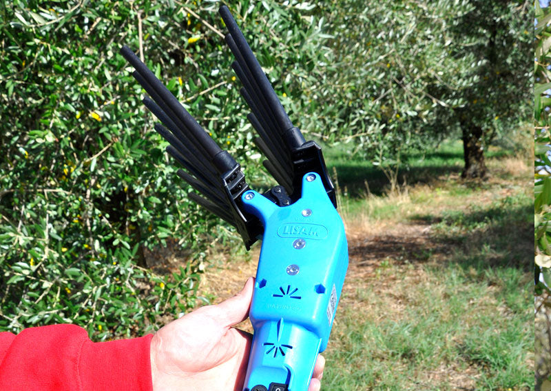 Lisam OLIVECO - Abbacchiatore elettrosquotitore per olive a batteria 12V - Asta telescopica