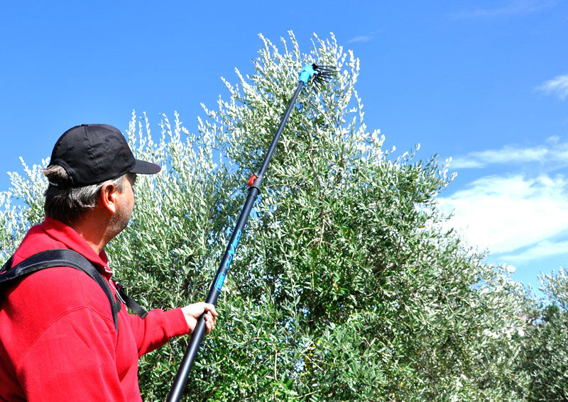 Lisam OLIVECO - Abbacchiatore elettrosquotitore per olive a batteria 12V - Asta telescopica