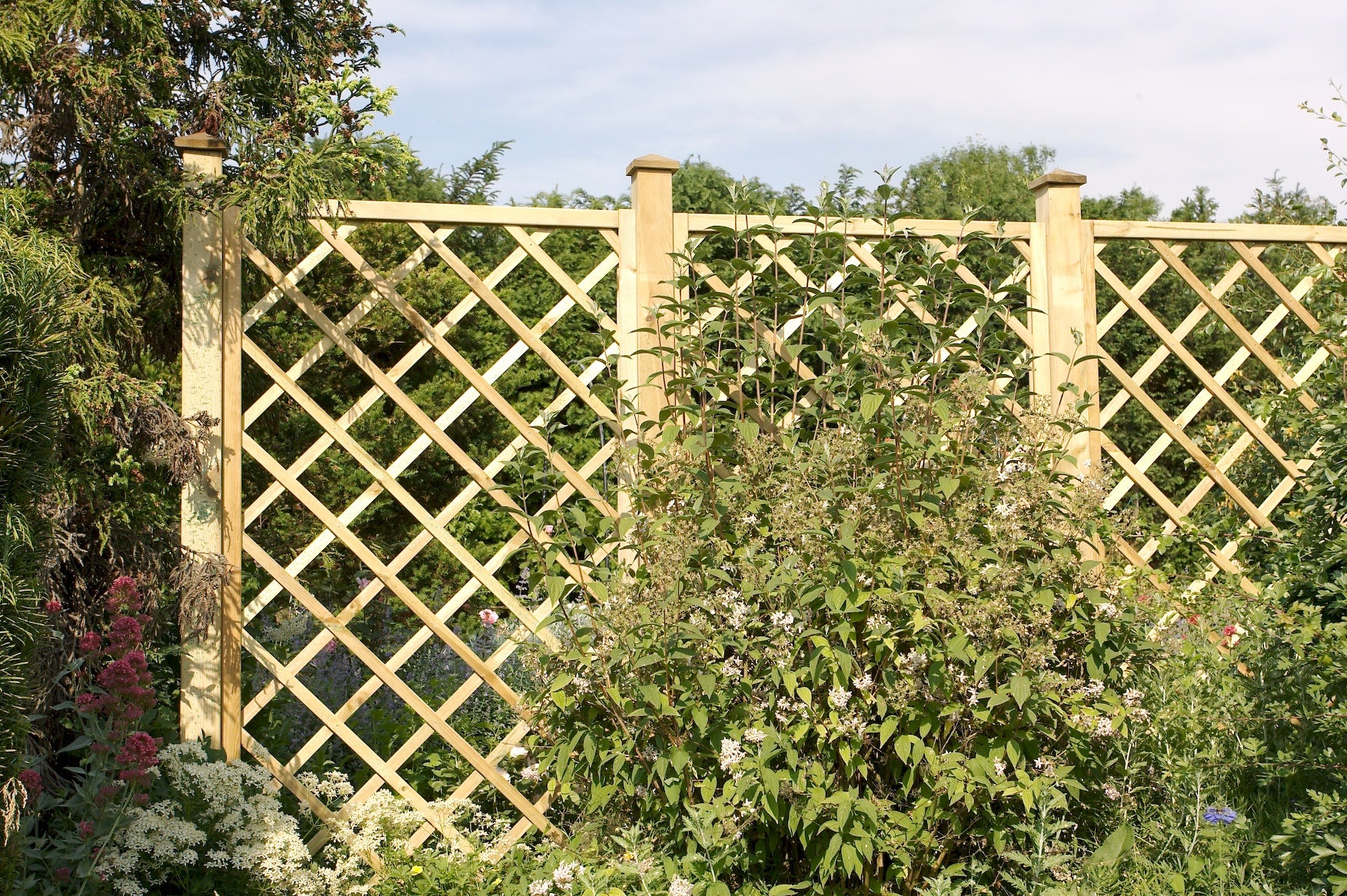 GRIGLIATO NOCCIOLO MAGLIA DIAGONALE 120x180cm. SL