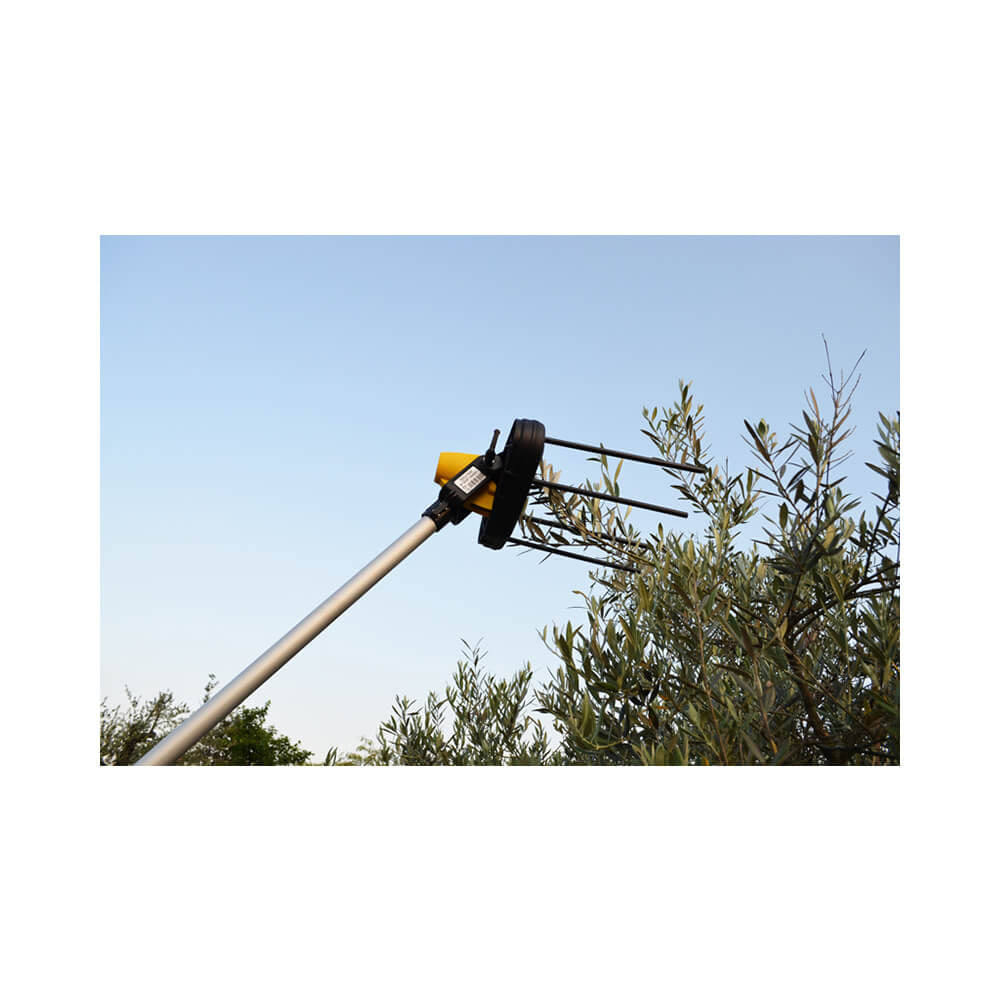 Volpi New Giulivo 4U - Abbacchiatore elettroscuotitore a batteria 12V - asta fissa 2,5 metri 