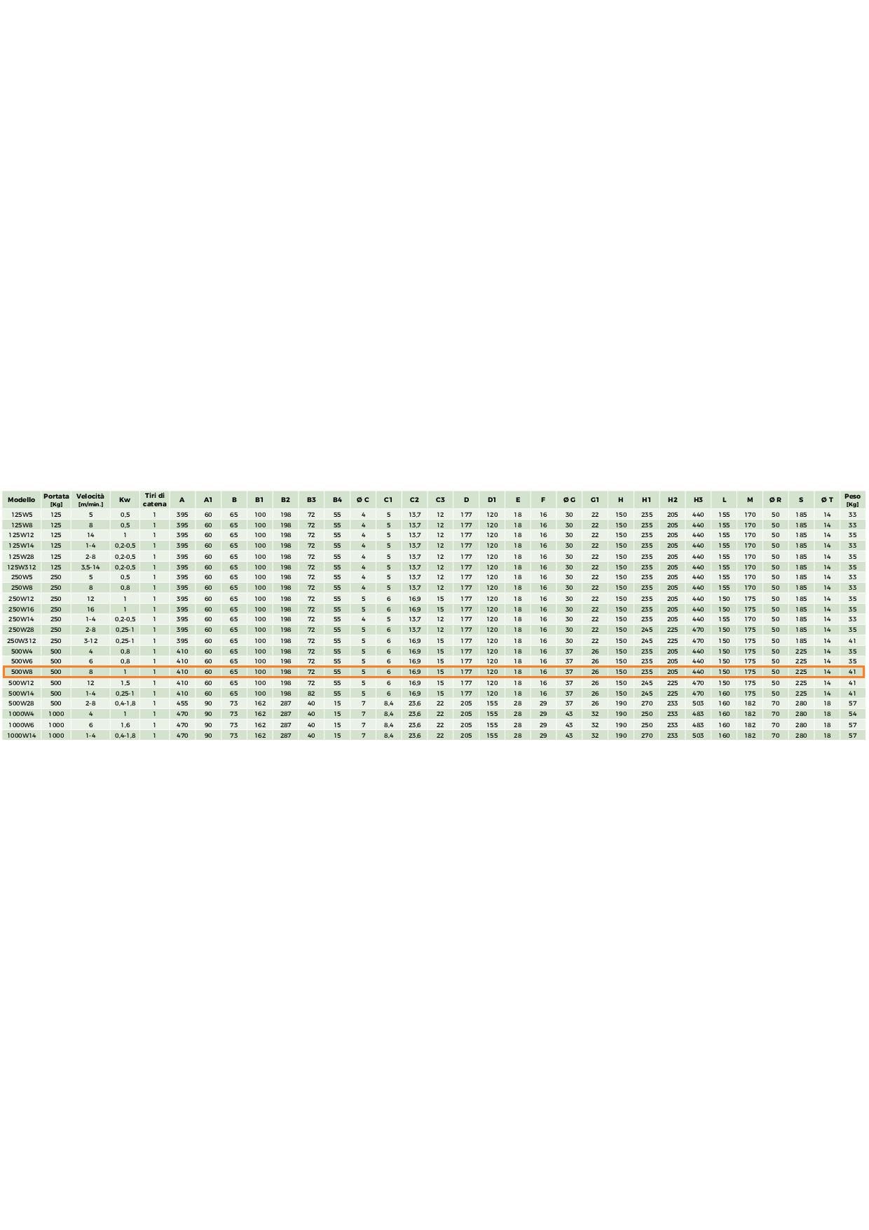 RWM Paranco 500W8 serie W-CS