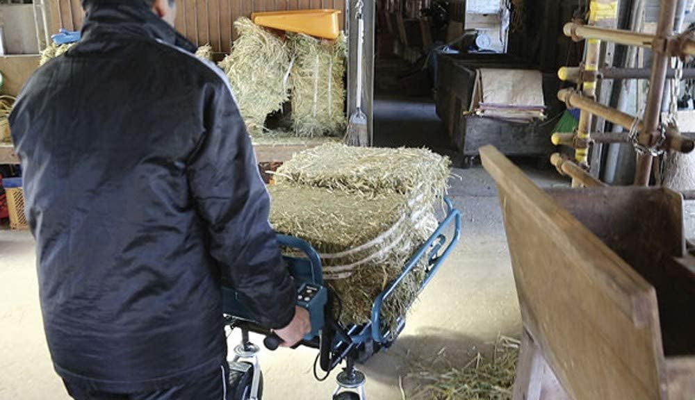 Makita 199009-8 - Telaio tubulare per carriola a batteria DCU180Z