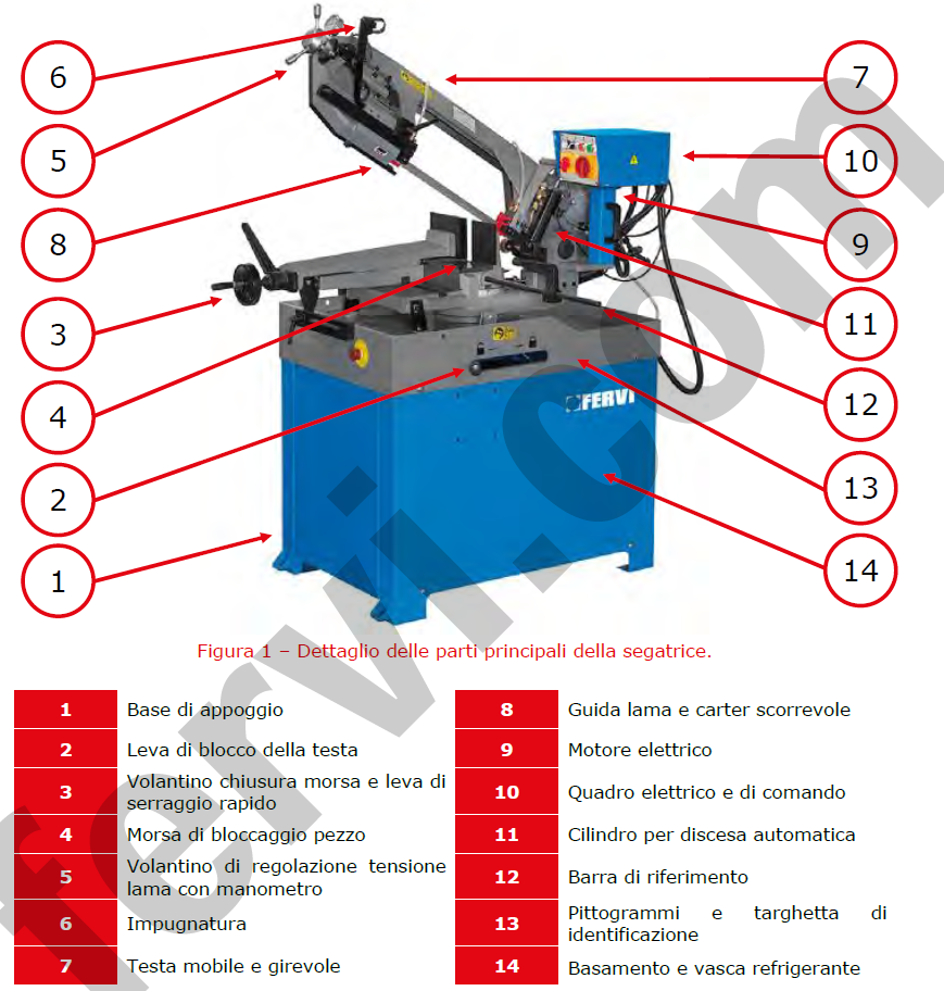 Fervi 0230 Segatrice a nastro a discesa manuale e idraulica gravitazionale 400V - 1500Wtaglio tondo max 250 mm