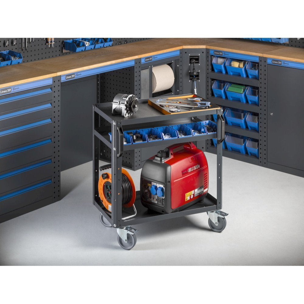 Fami Garage 391 G15 - Arredamento per officina 3 metri con piano in legno