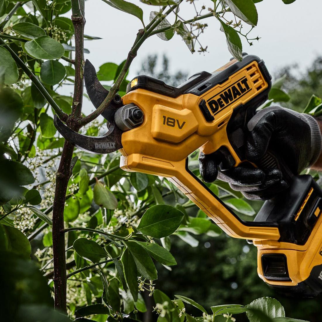 Dewalt DCMPP568N-XJ - Forbice da potatura / potatora a batteria 18V - solo corpo