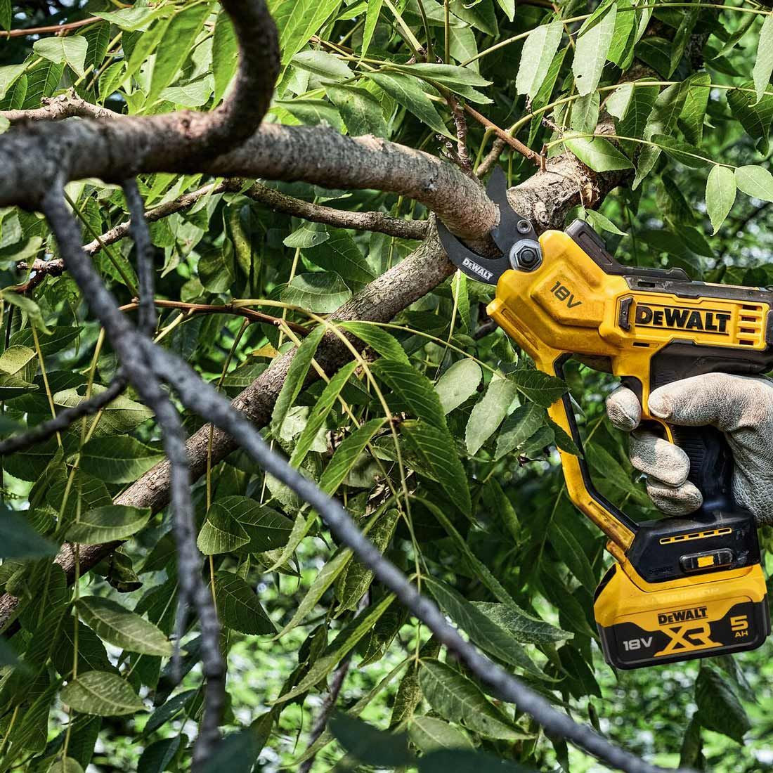 Dewalt DCMPP568N-XJ - Forbice da potatura / potatora a batteria 18V - solo corpo