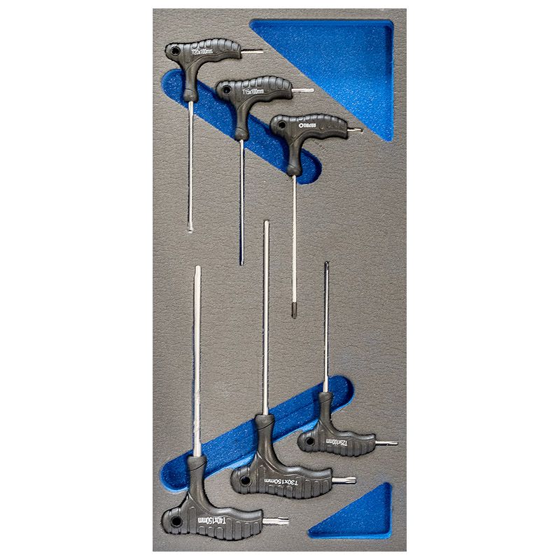 Carrello portautensili 6 cassetti Fervi C900/CC01 completo di 113 pezzi con OMAGGIO