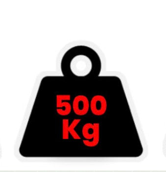 Rwm 500W6CE T1 V1 paranco 500KG con carrello elettrico velocità di translazione 7 o 14 m/min , catena 6 metri , pulsantiera 4 metri