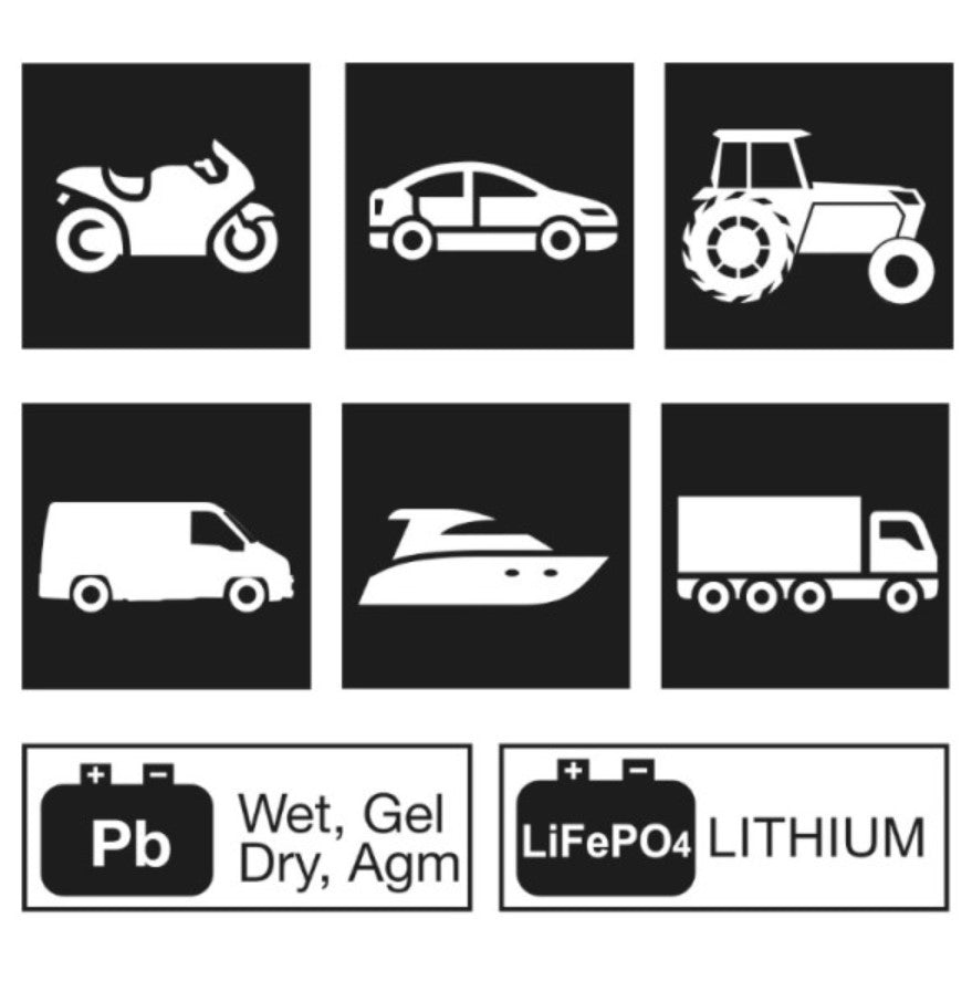 Beta 1498/25A Caricabatterie elettronico 12-24V multifunzione