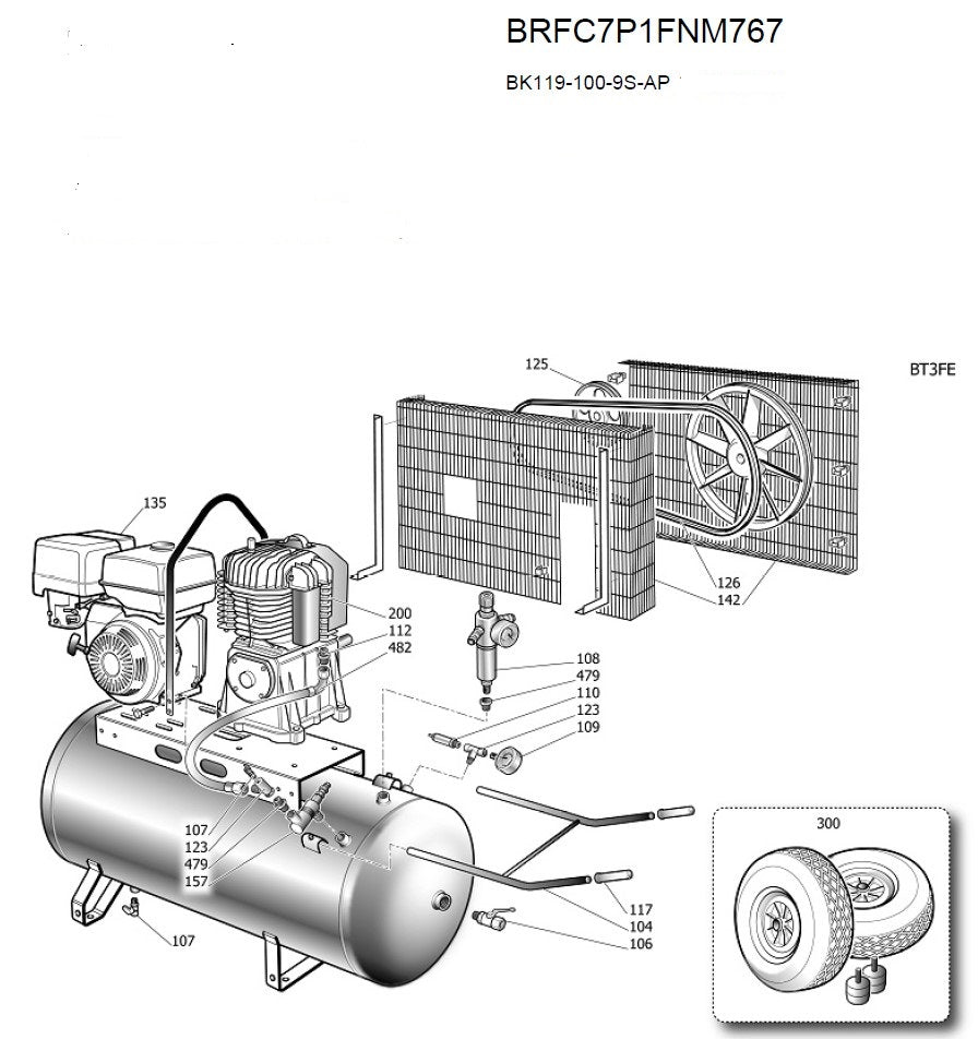 Compressore Fini Pneumair BK119-100-9S AP
