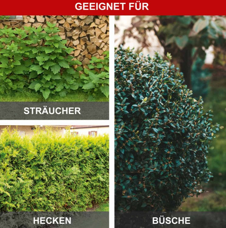 Scheppach etht1000 Tagliasiepi elettrico telescopico Lunghezza di taglio 410 mm 230 V