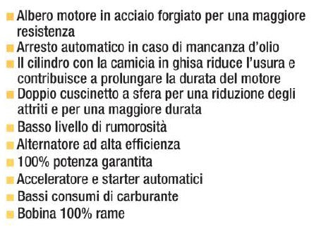 Ltf EGM3500G Generatore di corrente 220V Benzina con AVR