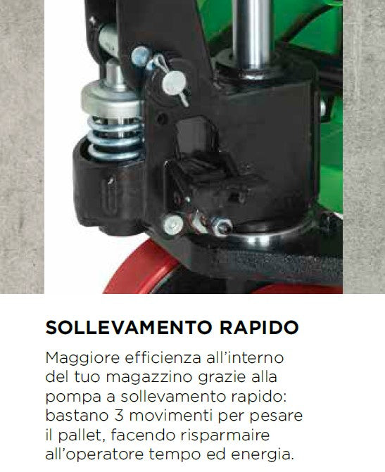 Transpallet TPWN EASY pesatore Dini Argeo con display doppia scala 1.000/2.000Kg , precisione +/- 1 kg