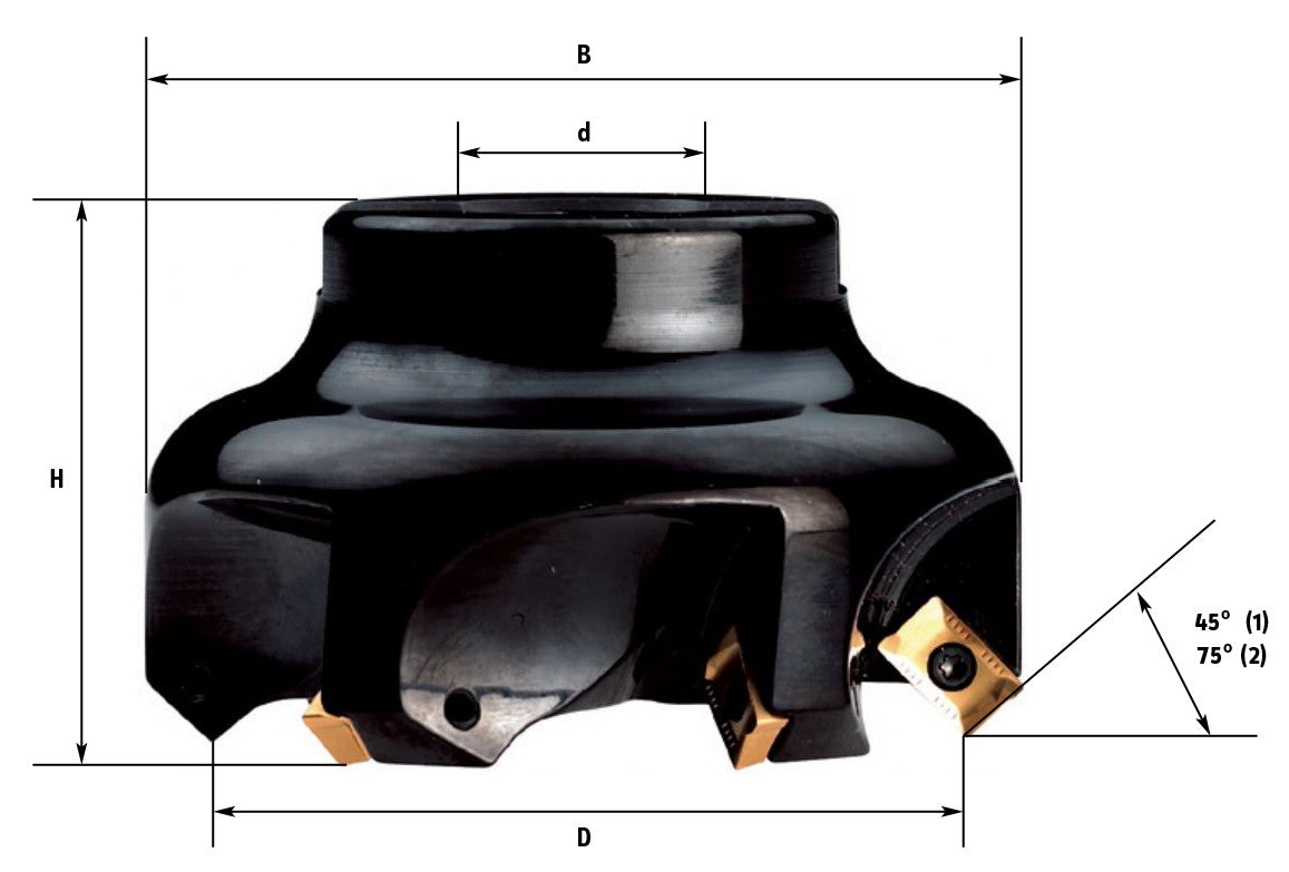 Prodotto 453964