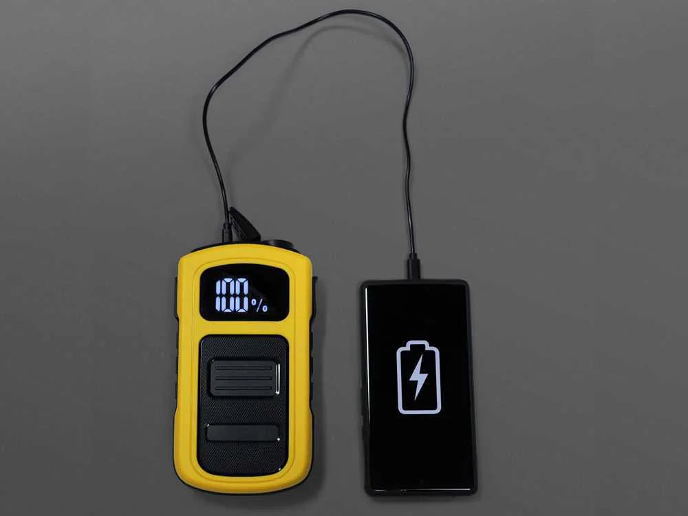 Intec i-Starter 2.9 - Avviatore d'emergenza portatile per auto 12 V - con funzione powerbank