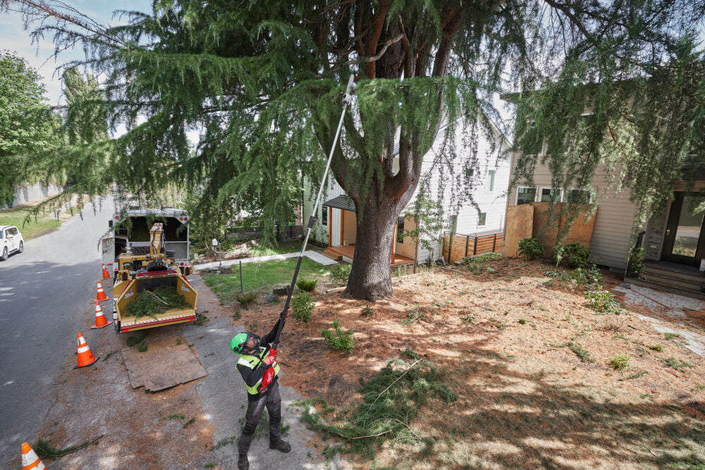 Milwaukee M18 FTPS30-121 - Potatore telescopico a batteria 18V - taglio 30 cm - 1 x 12Ah