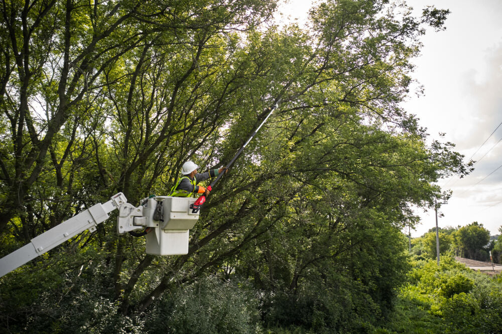 Milwaukee M18 FTPS30-121 - Potatore telescopico a batteria 18V - taglio 30 cm - 1 x 12Ah