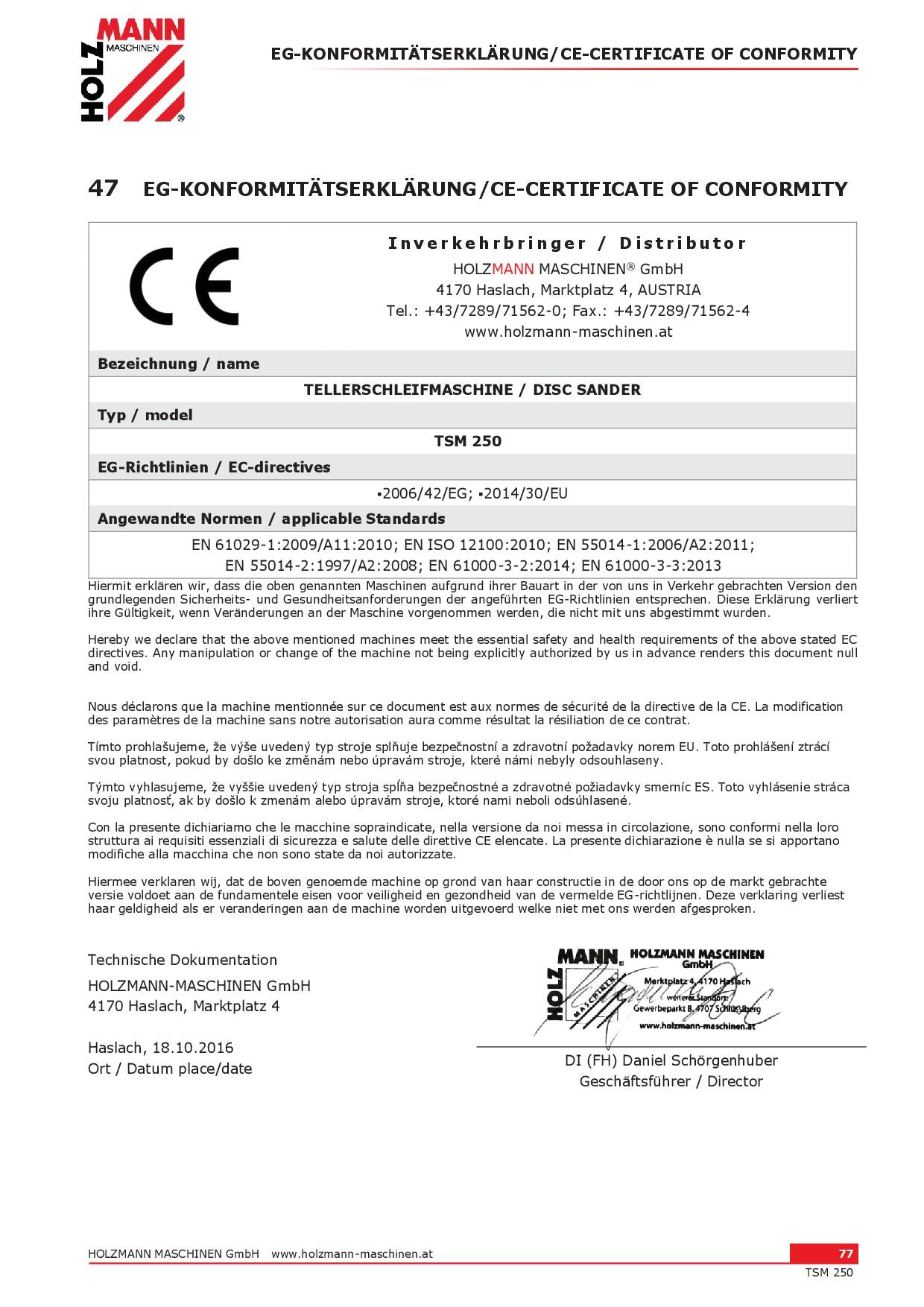 Holzmann TSM 250 - Levigatrice a disco