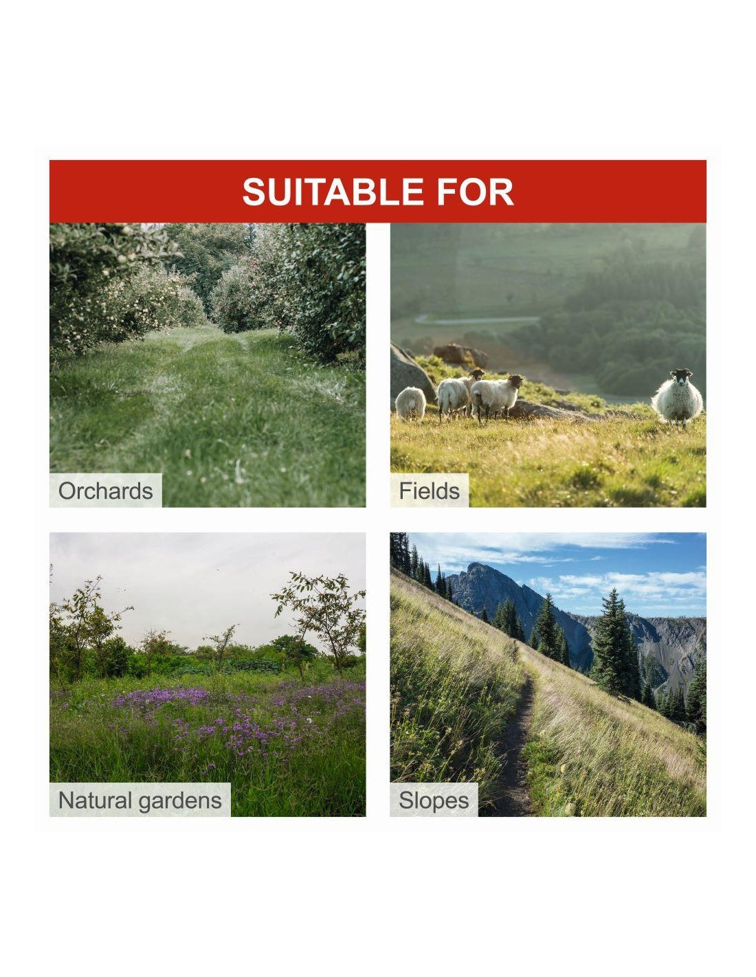 Scheppach BMS196-88 - Motofalciatrice a scoppio 196 cc 4200 W 5.7 hp