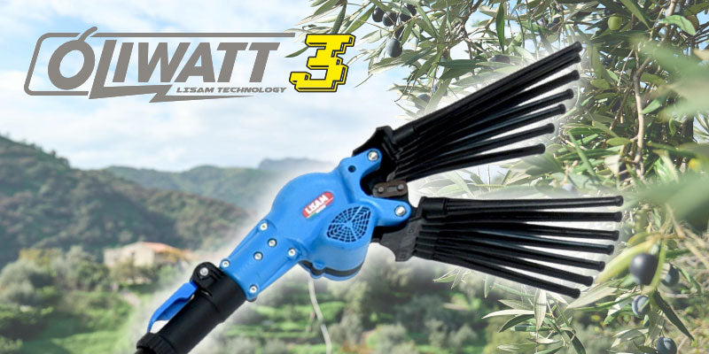Lisam OLIWATT3 - Abbacchiatore squotiolive a batteria 12V - Asta telescopica 