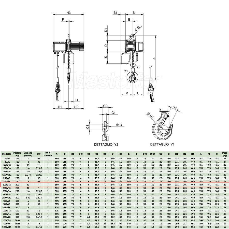 Rwm 250W12 - Paranco elettrico professionale a catena, portata 250Kg 