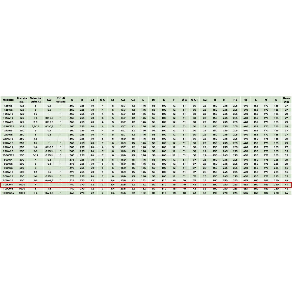 paranco elettrico dati tecnici rwm