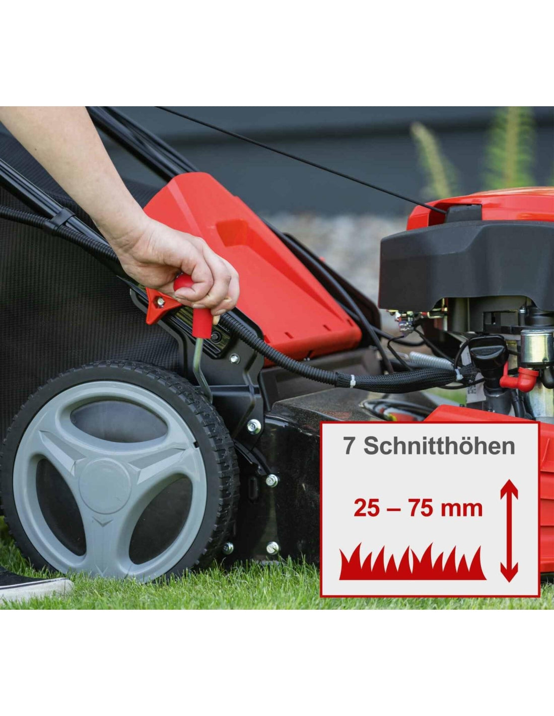 Scheppach MS225-56E - Rasaerba a scoppio semovente avviamento elettrico 225cc - taglio 56cm 