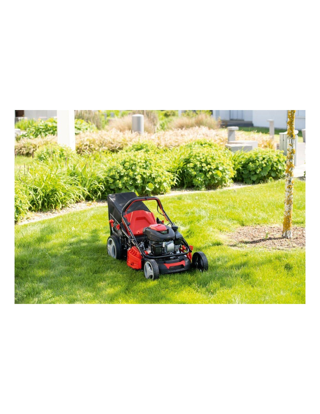 Scheppach MS173-51 - Rasaerba a scoppio trazione semovente 173cc 3 kW - Taglio 51cm