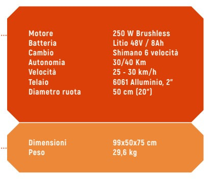 Vinco 12010 - Bicicletta elettrica con pedalata assistita