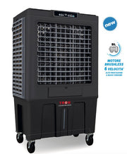 Prodotto 20000BL