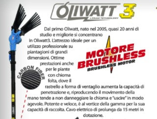 Lisam OLIWATT3 - Abbacchiatore squotiolive a batteria 12V - Asta telescopica 
