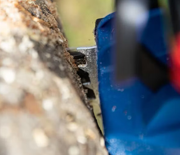 Scheppach bc-cs355duo-x Motosega brushless 2x20v lama 33.5 cm , senza caricabatterie e senza batterie ixes