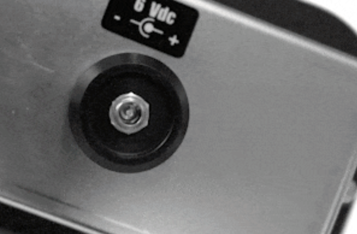 DINI ARGEO TPWPM-1 TRANSPALLET PESATORE TPWP PROFESSIONAL CON STAMPANTE , 2000 Kg