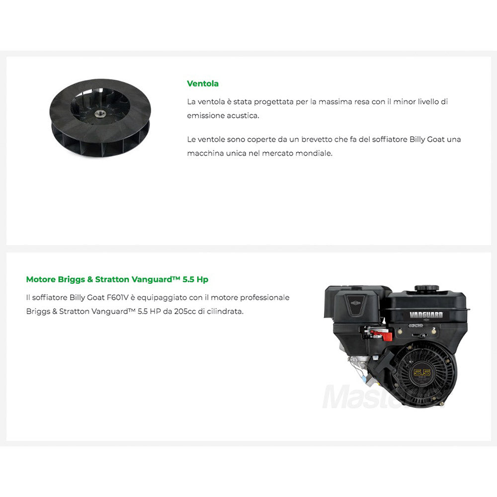 Soffiatore carrellato a spinta Billy Goat F601V in uso motore e ventola