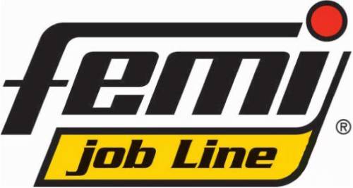 Logo Femi Job Line