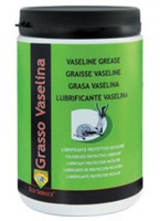Eco Service Grasso Vasellina 0,9kg