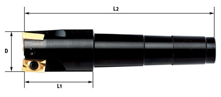 Fervi F301/32CM4 - Fresa a inserto