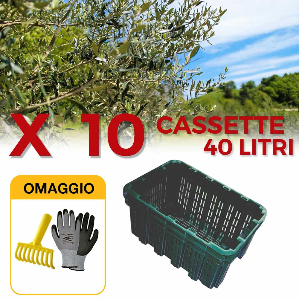 5 pz Cassetta Agricola, Fondo Traforato in Plastica, Cesta per Raccolta  Olive, Impilabili, Sovrapponibili, Con Manici, 40 Litri, cm. 56x35x31
