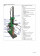 Ribiland PREHLS8T/VN - Spaccalegna elettrico verticale 8 tonnellate 3000 W