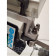 Segatrice a nastro Compa SC 1435 MP cuscinetti 